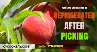 Refrigerating Fresh Peaches: Optimal Storage Time After Harvesting Explained
