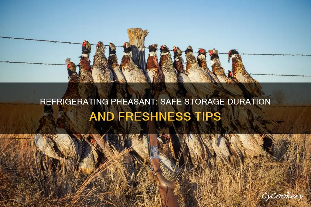 how long can pheasant be refrigerated