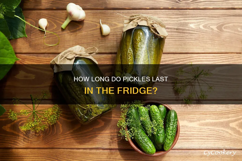 how long can pickled plast in the refrigerator