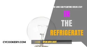 Chilling Bulbs: Optimal Refrigeration Time for Healthy Planting