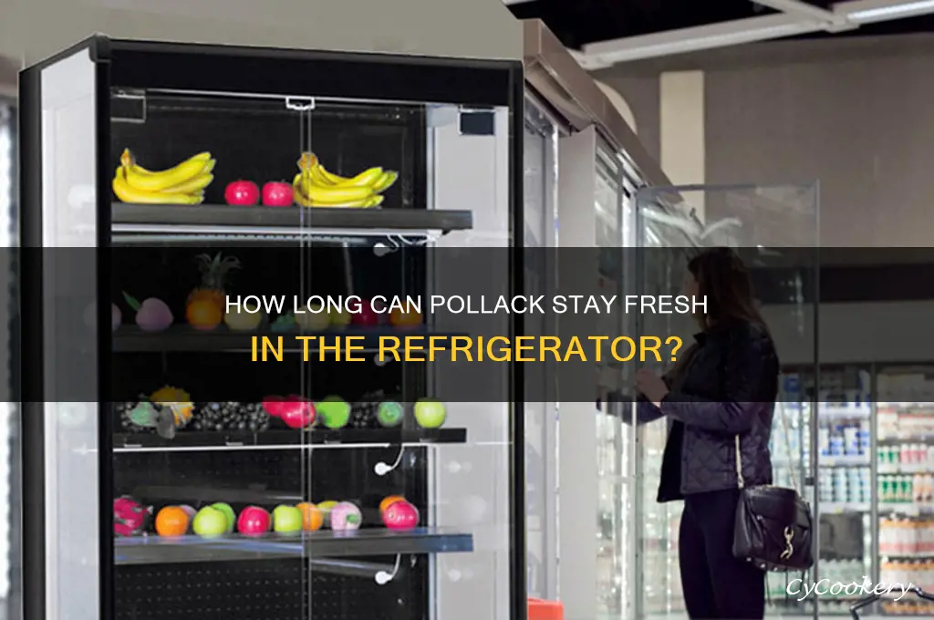 how long can pollack be refrigerator