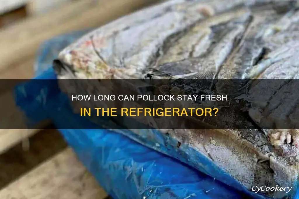how long can pollock be refrigerator