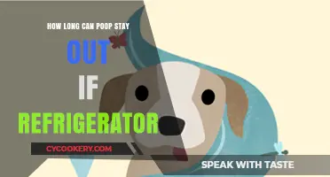 How Long Can Poop Stay Out of the Refrigerator?