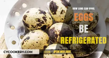 Refrigerating Quail Eggs: Optimal Storage Time and Freshness Tips