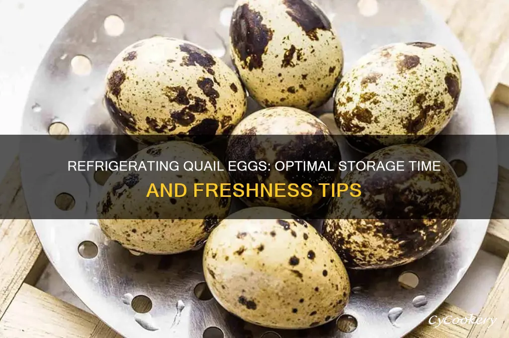 how long can quail eggs be refrigerated