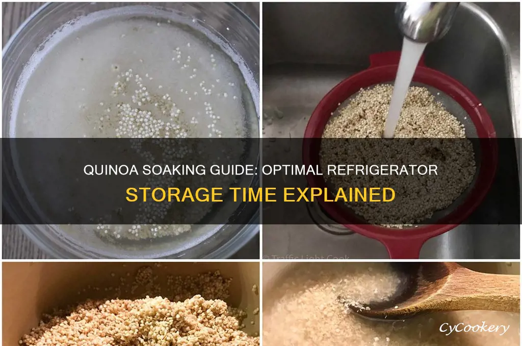 how long can quinoa soak in the refrigerator