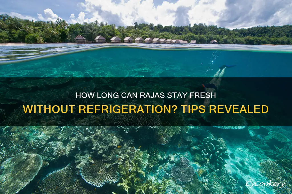 how long can rajas be out without refrigeration