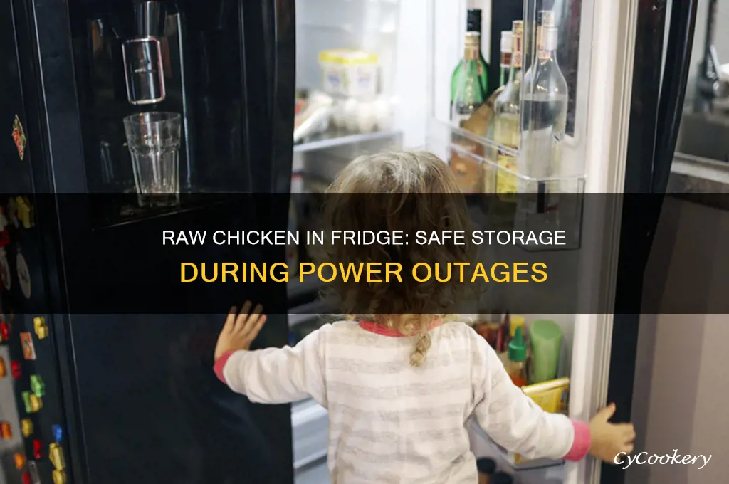 how long can raw chicken be in refrigerator power failure
