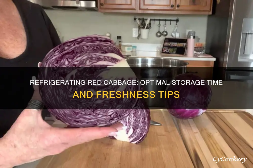 how long can red cabbage be refrigerated