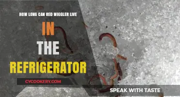 Red Wiggler Lifespan: Refrigerator Survival Tips and Duration Explained