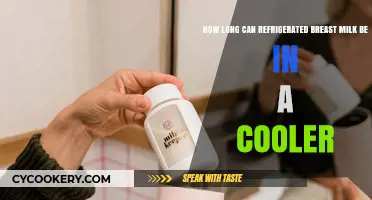 Refrigerated Breast Milk Storage: Cooler Duration Guide for Moms