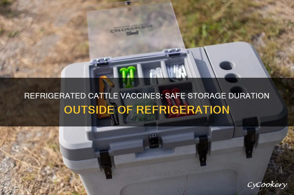 how long can refrigerated cattle vaccines be out of refrigeration