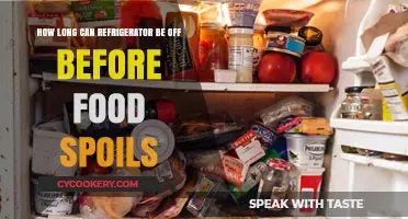 How Long Can Your Fridge Be Off Before Food Spoils?