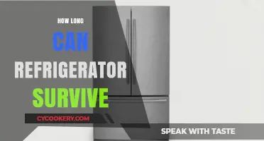 Refrigerator Lifespan: Factors Affecting Durability and Survival Tips
