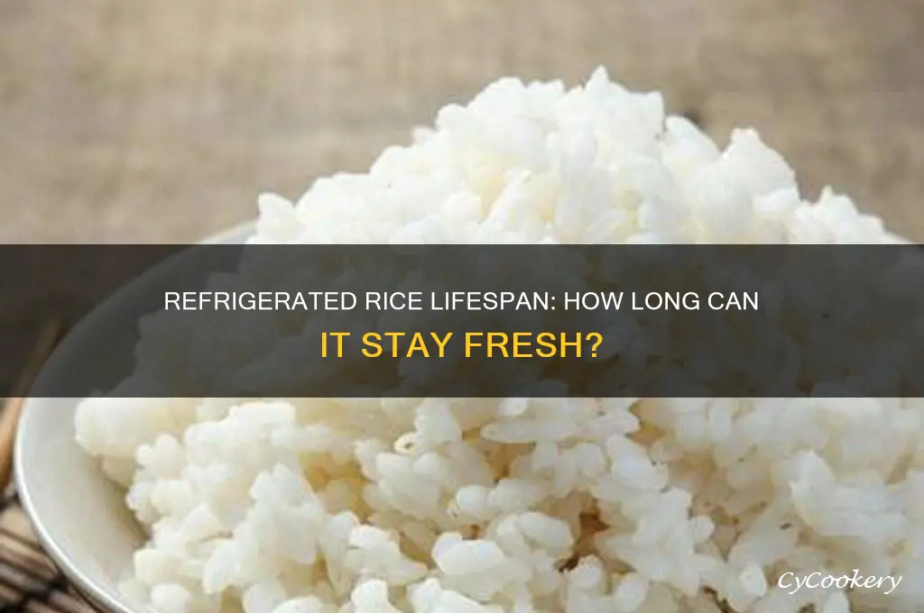 how long can rice stay in the refrigerator