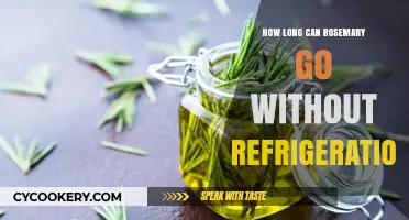 Rosemary Storage Tips: How Long Can It Last Without Refrigeration?