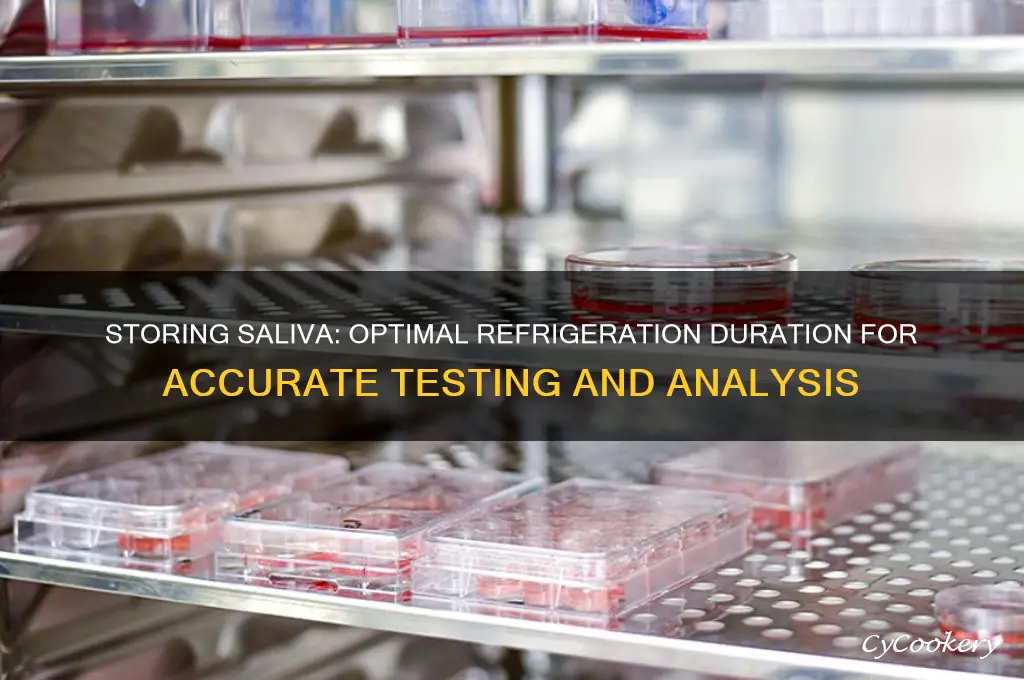 how long can saliva be stored refrigerated