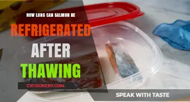 Refrigerated Salmon Shelf Life: How Long After Thawing is Safe?