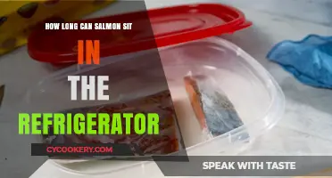 Salmon Storage Guide: Safe Refrigeration Time and Tips