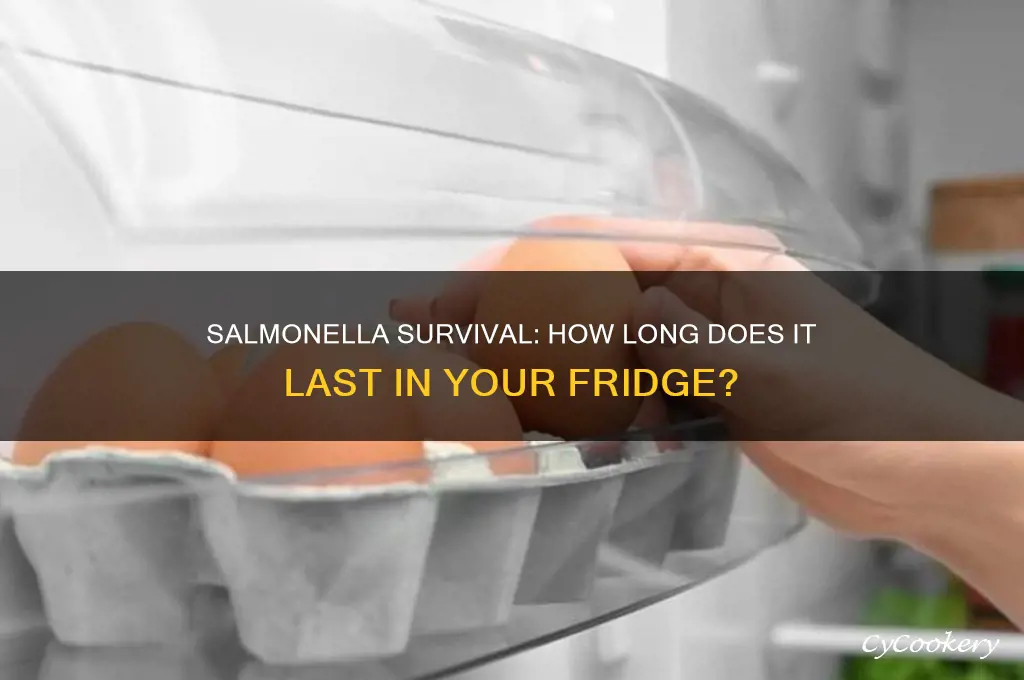 how long can salmonella live in the refrigerator