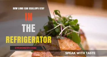Scallop Storage Guide: Refrigerator Shelf Life and Freshness Tips