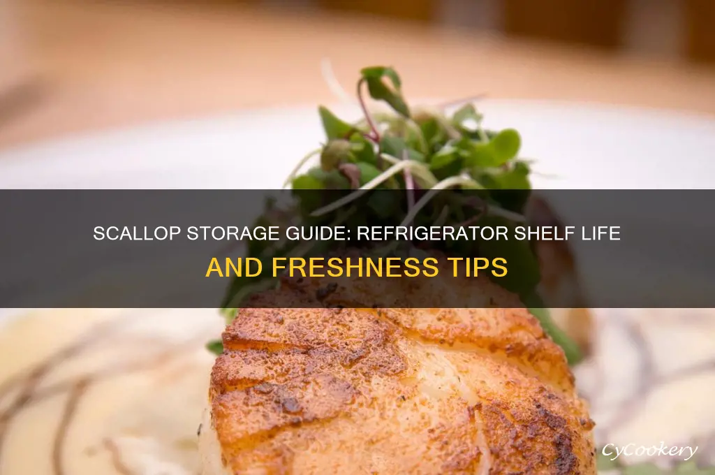 how long can scallops stay in the refrigerator