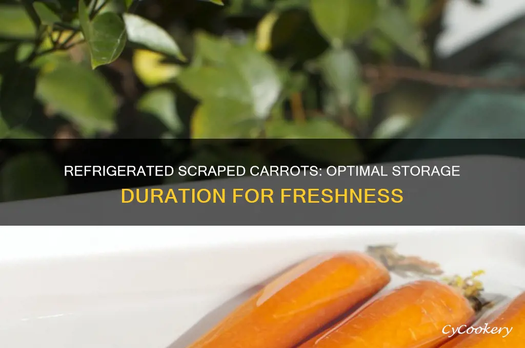 how long can scraped uncooked carrots be kept in refrigerator