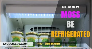 Refrigerating Sea Moss: Optimal Storage Time and Freshness Tips