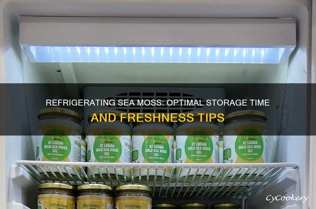 how long can sea moss be refrigerated