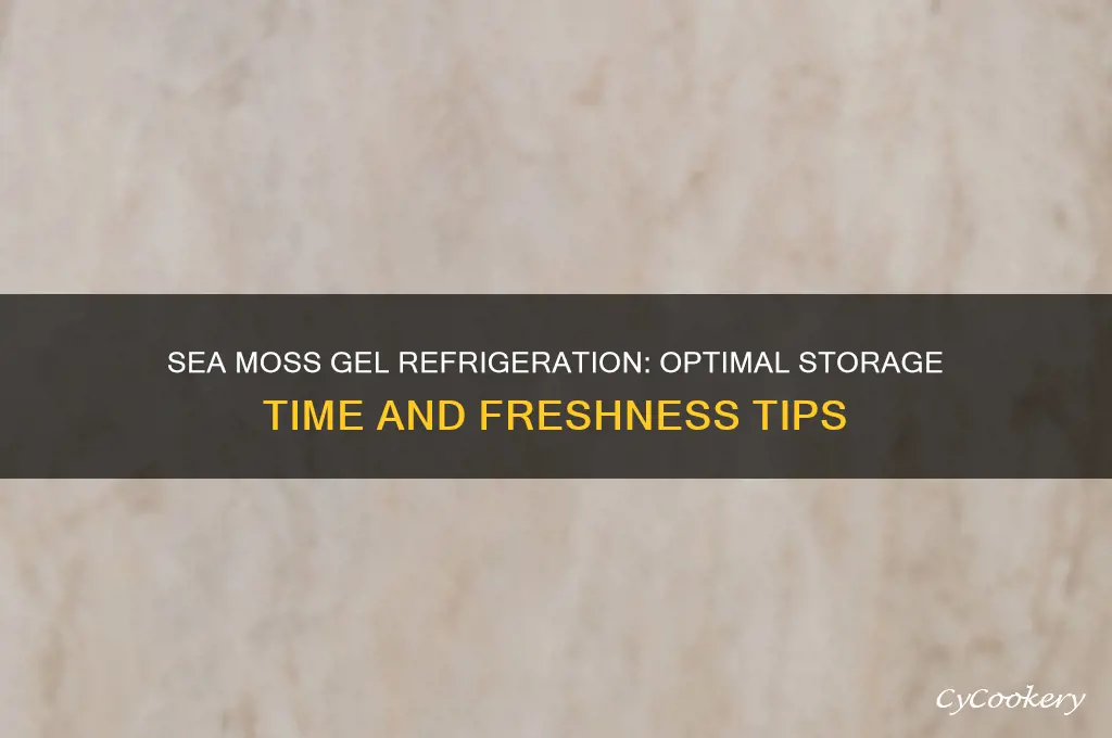 how long can sea moss gel be refrigerated