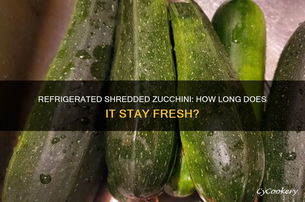 how long can shredded zucchini stay in the refrigerator