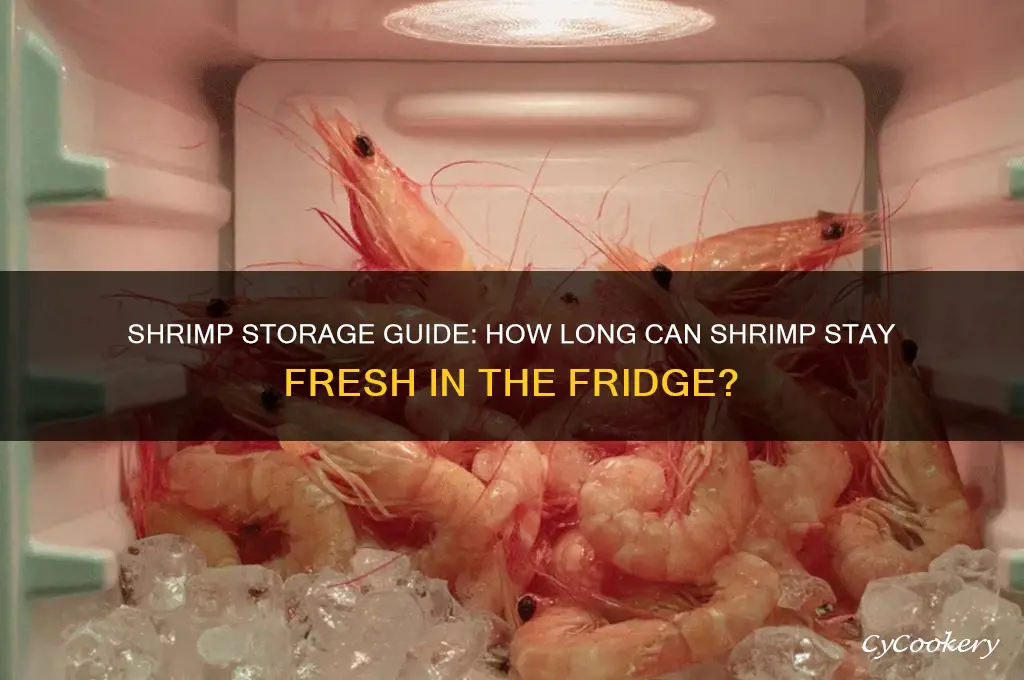 how long can shrimp be in the refrigerator