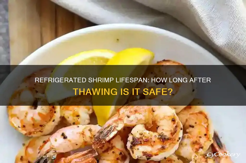 how long can shrimp be refrigerated after thawing
