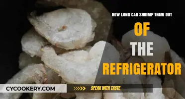 Shrimp Thawing Guide: Safe Time Limits Outside the Fridge