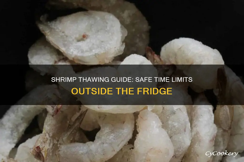 how long can shrimp thaw out of the refrigerator
