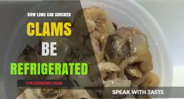 Refrigerating Shucked Clams: Safe Storage Time and Tips