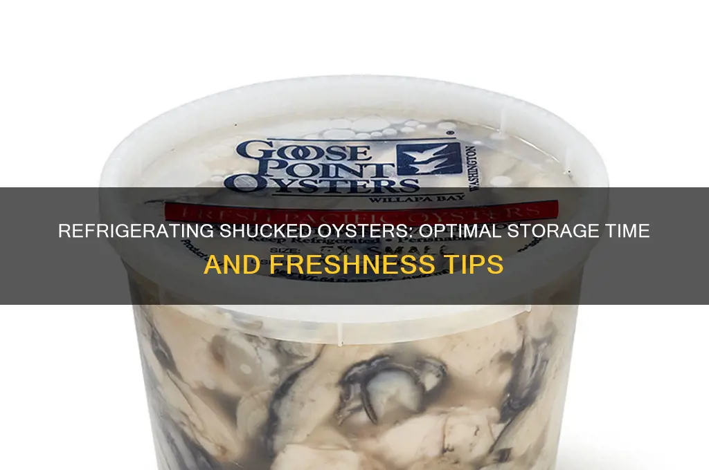 how long can shucked oysters be refrigerated