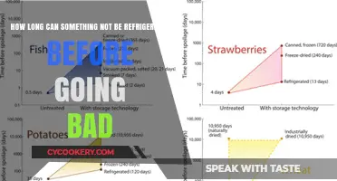 Food Safety: How Long Can Items Last Without Refrigeration?