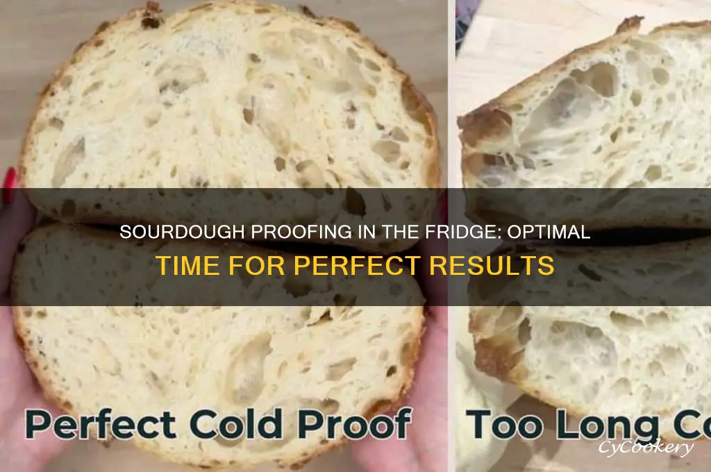 how long can sourdough proof in refrigerator