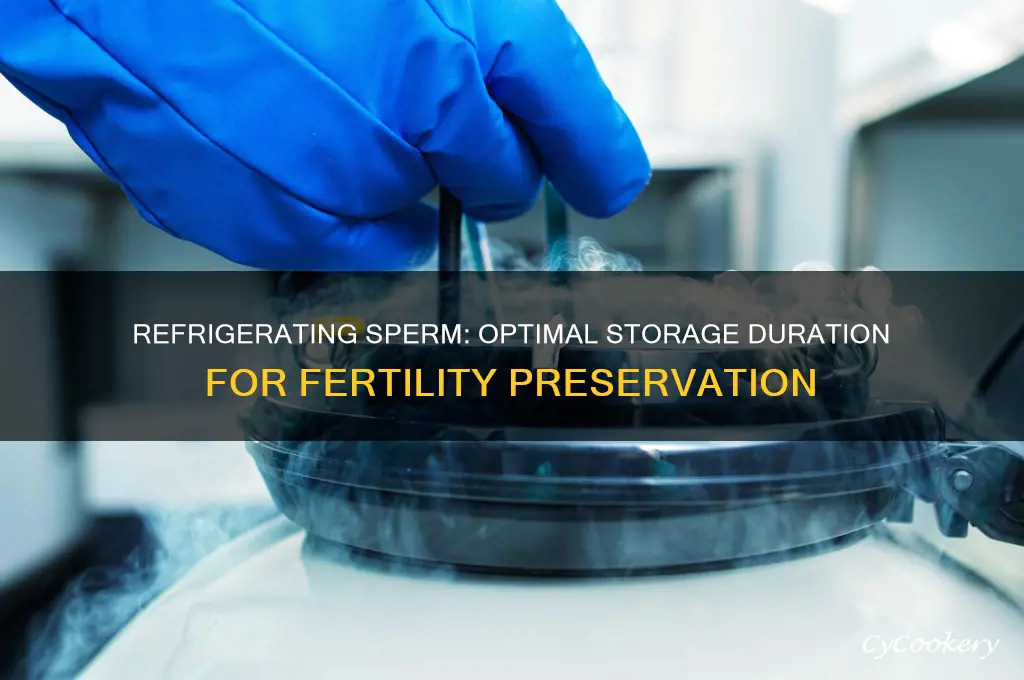 how long can sperm be refrigerated