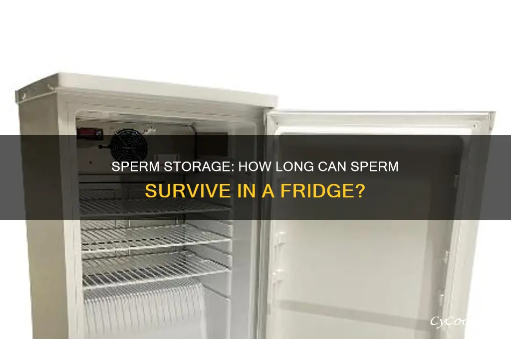 how long can sperm live in a refrigerator