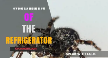 How Long Can Spiders Survive Outside the Refrigerator?