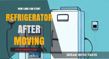 Moving Your Fridge? Here’s How Long to Wait Before Restarting