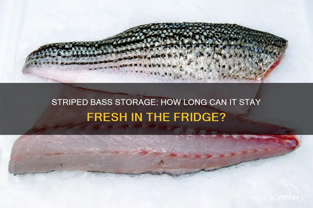 how long can striped bass be refrigerated