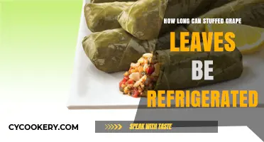 Refrigerating Stuffed Grape Leaves: Optimal Storage Time and Tips