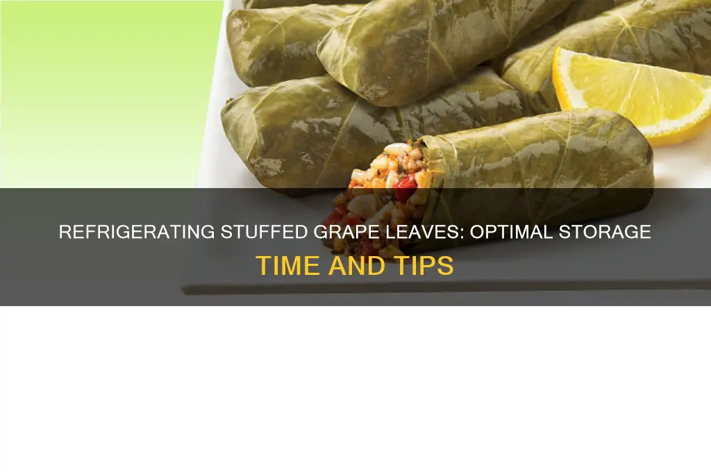 how long can stuffed grape leaves be refrigerated