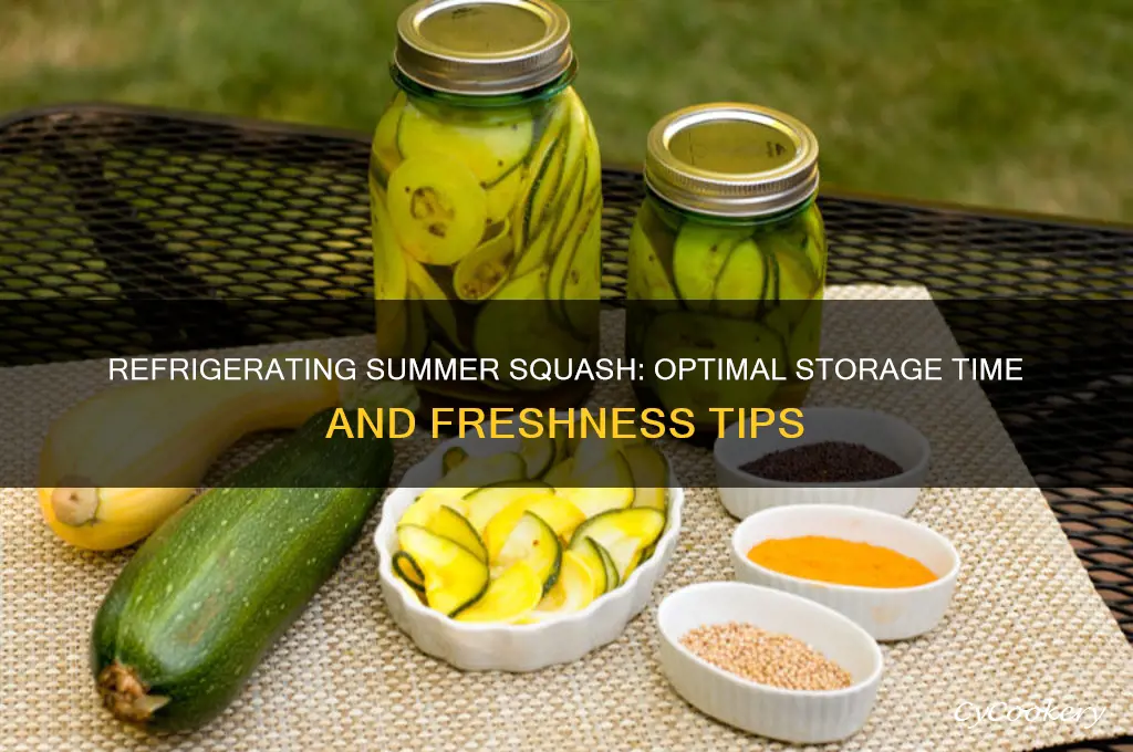 how long can summer squash be refrigerated