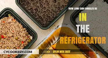 Tamales Storage Guide: How Long Can They Last in the Fridge?