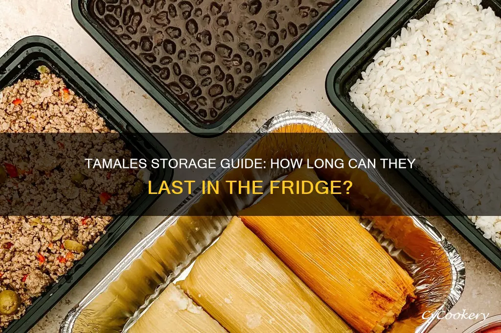 how long can tamales be in the refrigerator