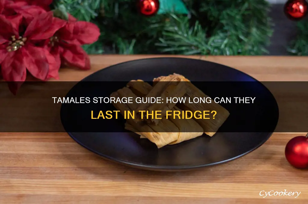 how long can tamales stay in the refrigerator